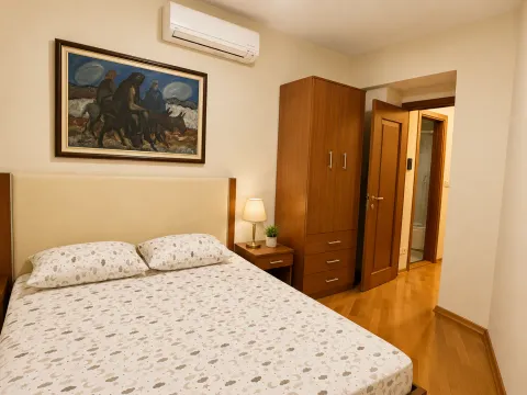 Izdavanje, jednosoban stan, 50m², Centar, Podgorica - image 8