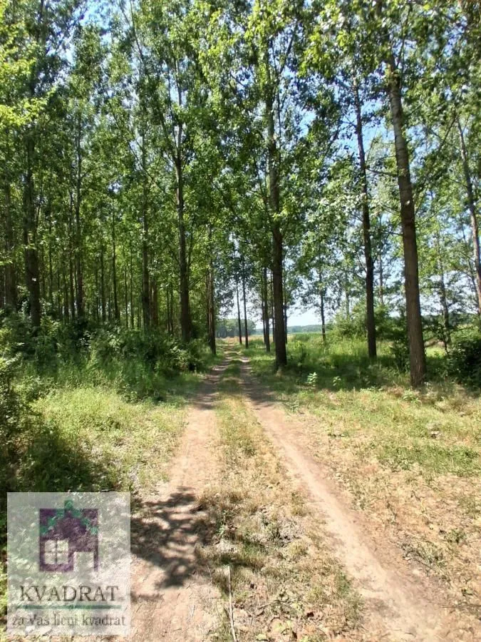 Prodaja, plac, 700m², Bač, Novi Sad