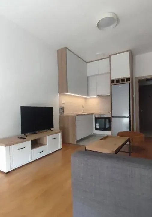 Rent, apartment, 30m², Ljubović, Podgorica
