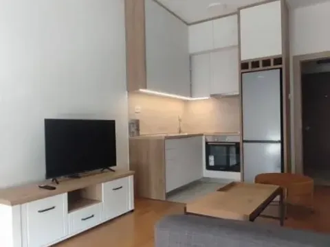 Rent, apartment, 30m², Ljubović, Podgorica - image 1