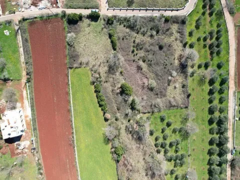 Prodaja, plac, 3520m², Krimovica, Kotor - image 7