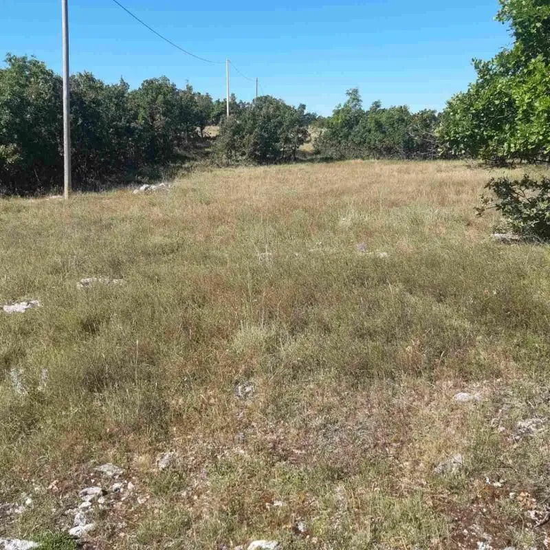 Prodaja, plac, 36000m², Nikšić, Crna Gora
