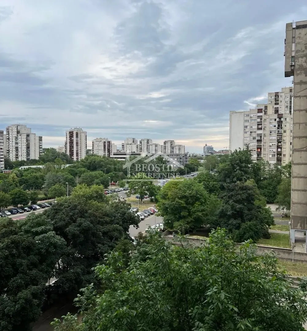 Rent, two bedroom apartment, 66m², Novi Beograd Blok 63, Novi Beograd Sve Podlokacije