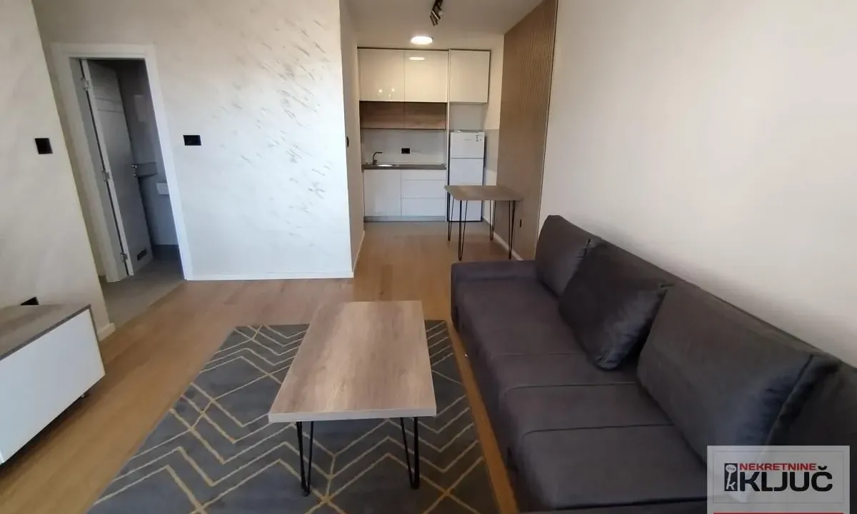 Izdavanje, dvosoban stan, 47m², Bulevar patrijarha Pavla, Novi Sad Sve Podlokacije