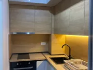 Rent, studio apartment, 33m², Central Point, Podgorica - image 1