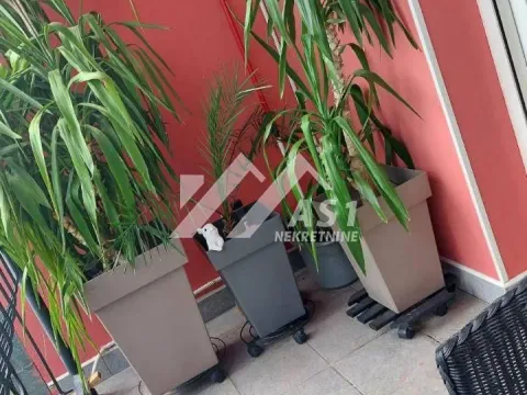 Izdavanje, trosoban stan, 75m², Novi Sad Sve Podlokacije, Novi Sad - image 10