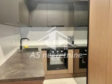 Izdavanje, stan, 55m², Južni Bulevar, Vračar Sve Podlokacije - image 9