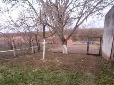 Prodaja, kuća, 40m², Bečej, Novi Sad - image 24