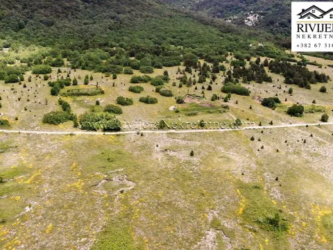 Sale, land lot, 14200m², Vrbanj, Herceg Novi - image 9