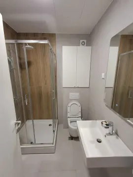 Rent, one bedroom apartment, 44m², Zabjelo, Podgorica - image 6