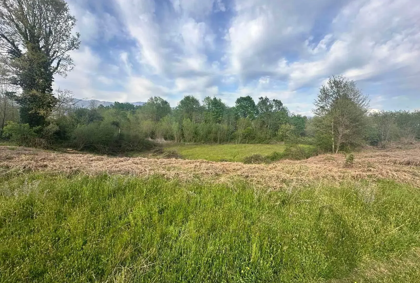 Prodaja, plac, 10860m², Orja Luka, Danilovgrad