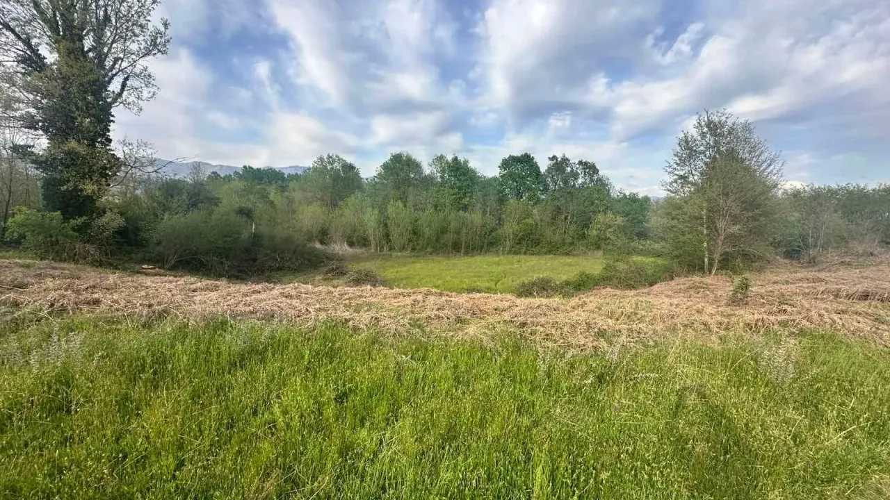 Sale, land lot, 10860m², Orja Luka, Danilovgrad