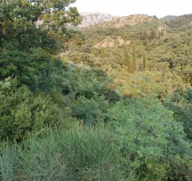 Pogled na zelenu prirodu i šumovite brežuljke u okolini. - image 4