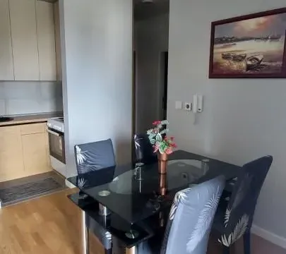 Izdavanje, jednosoban stan, 43m², Novo naselje, Novi Sad - image 5