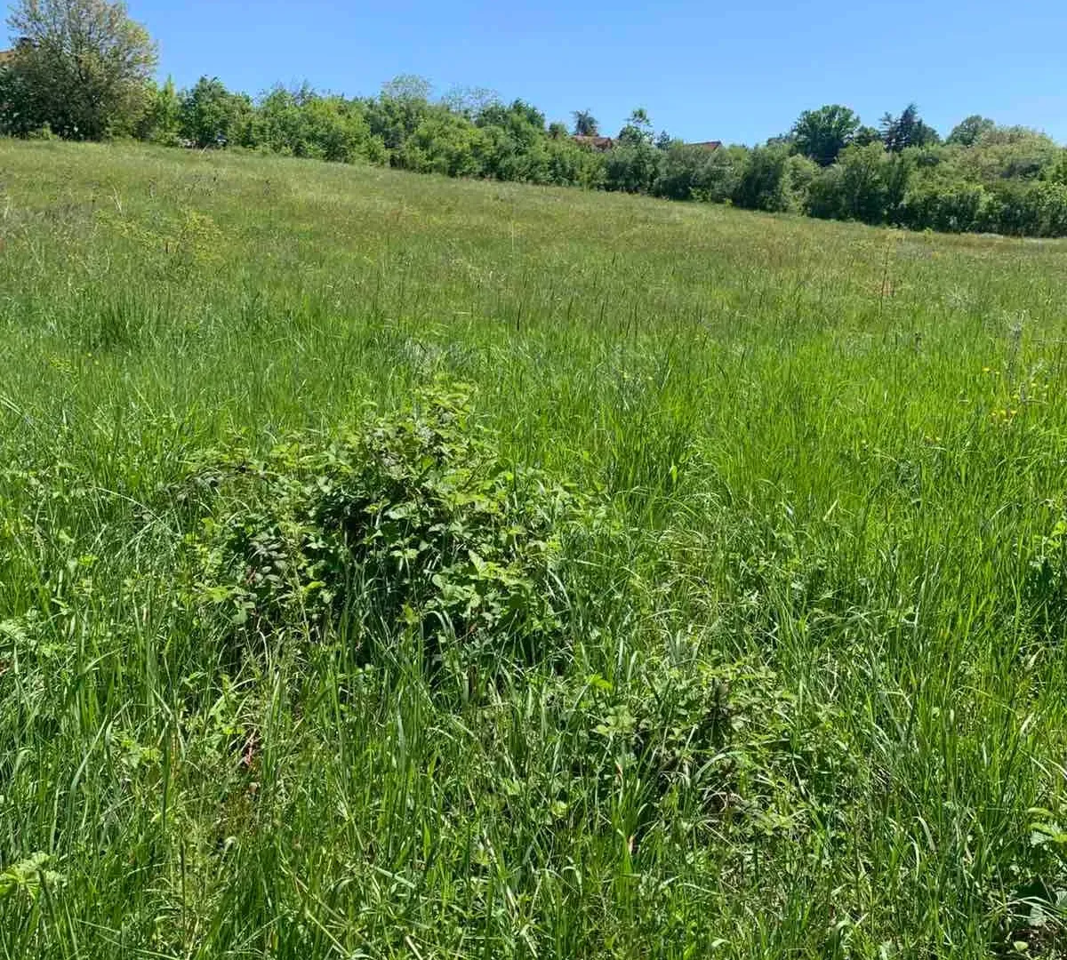 Prodaja, plac, 5000m², Vrbovno, Lazarevac