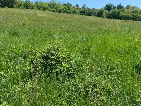 Prodaja, plac, 5000m², Vrbovno, Lazarevac - image 4