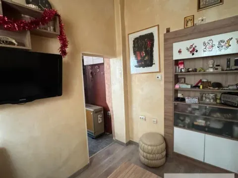 Prodaja, jednosoban stan, 18m², Zvezdara Sve Podlokacije, Beograd - image 4