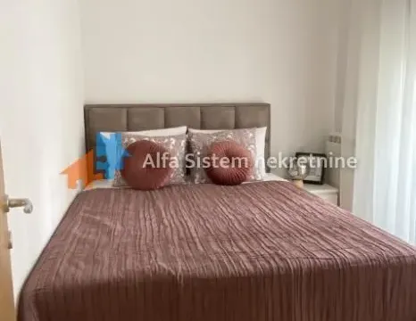 Izdavanje, dvosoban stan, 45m², Južni Bulevar, Vračar Sve Podlokacije - image 8