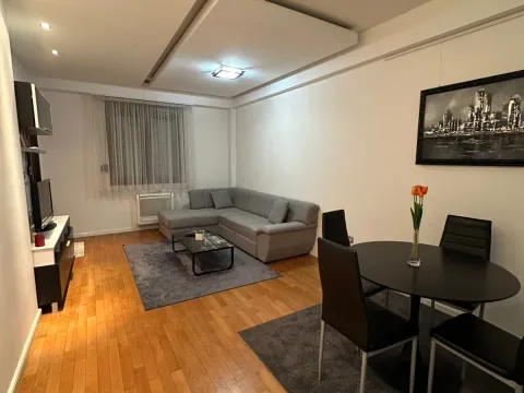 Izdavanje, jednosoban stan, 60m², Stari Aerodrom, Podgorica - image 14