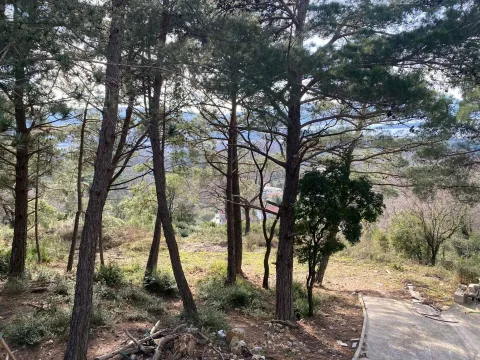 Prodaja, plac, 3626m², Kavač, Kotor - image 3