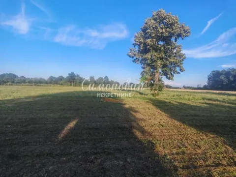 Prodaja, plac, 9118m², Obrenovac, Beograd - image 5