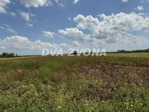 Prodaja, plac, 1000m², Čortanovci, Inđija - image 7