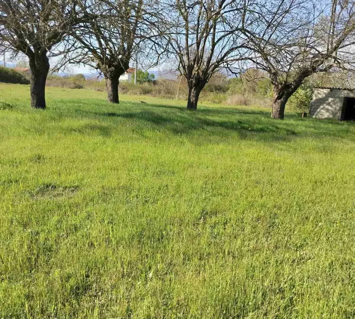 Prodaja, plac, 5200m², Danilovgrad, Crna Gora