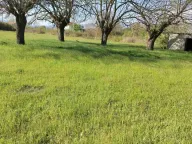 Prodaja, plac, 5200m², Danilovgrad, Crna Gora - image 2