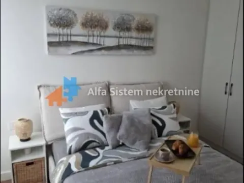 Izdavanje, dvosoban stan, 61m², Savski Venac, Beograd - image 14