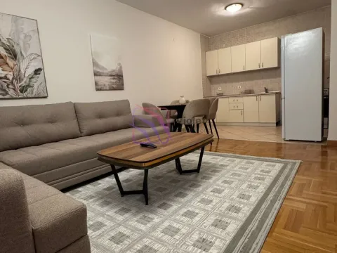 Izdavanje, jednosoban stan, 54m², Zagorič, Podgorica - image 11