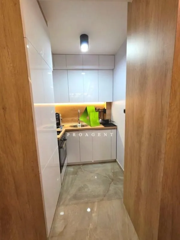 Izdavanje, jednosoban stan, 45m², Ledena Stena, Niš