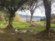 Prodaja, plac, 4800m², Herceg Novi, Crna Gora - image 2