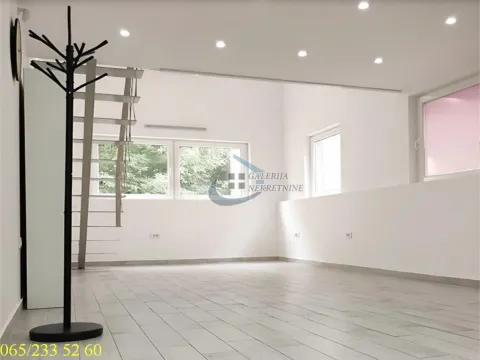 Stan in Profesorska Kolonija