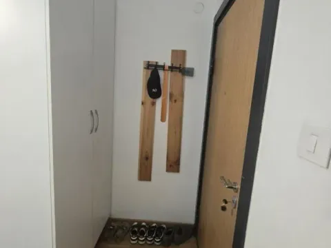 Izdavanje, jednosoban stan, 45m², Socijalno, Novi Sad Sve Podlokacije - image 12