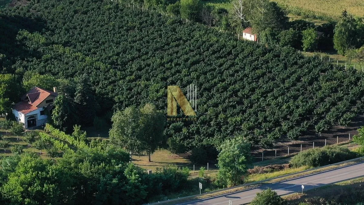 Prodaja, plac, 190m², Kikinda, Srbija