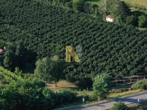 Sale, land lot, 190m², Kikinda, Srbija - image 5