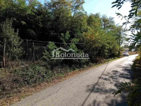 Pogled na plac i ogradu pored puta obraslog zelenilom. - image 3
