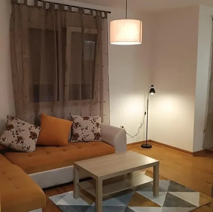 Rent, one bedroom apartment, 47m², Blok 6, Podgorica