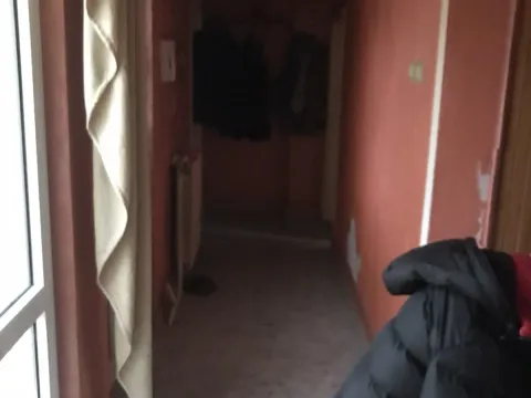 Prodaja, kuća, 160m², Zemun Centar, Zemun Sve Podlokacije - image 5