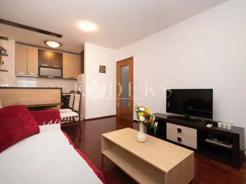 Izdavanje, jednosoban stan, 40m², Stari Aerodrom, Podgorica - image 10