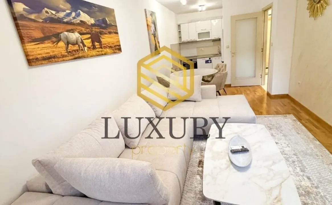 Rent, one bedroom apartment, 46m², Zagorič, Podgorica