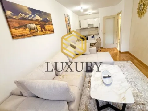 Rent, one bedroom apartment, 46m², Zagorič, Podgorica - image 1