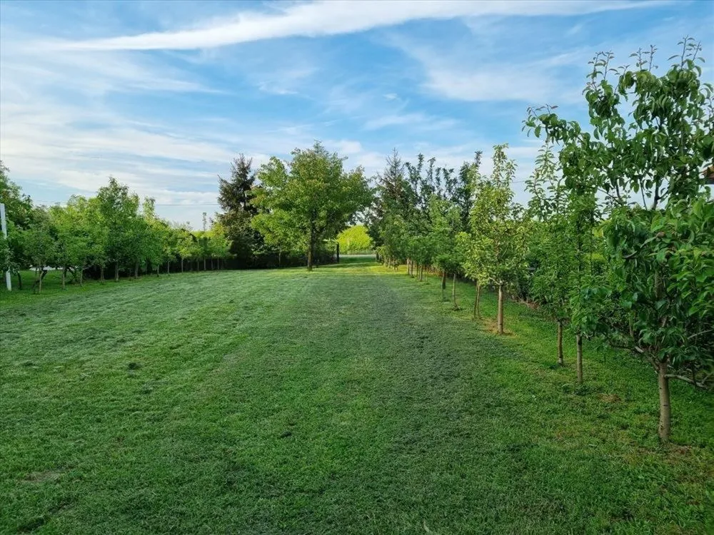 Prodaja, kuća, 62m², Bačka Palanka, Novi Sad