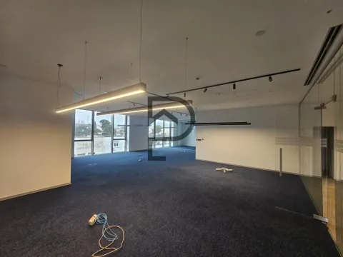 Izdavanje, poslovni prostor, 260m², Centar, Podgorica - image 5