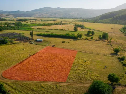 Izdavanje, plac, 3500m², Gornja Gorica, Podgorica - image 9