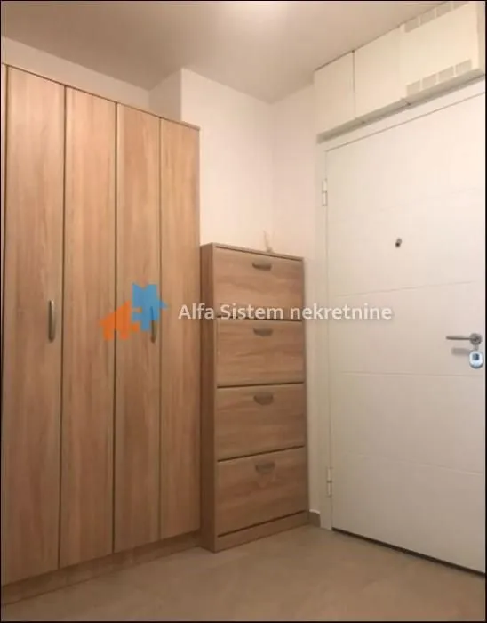 Izdavanje, dvosoban stan, 60m², Novi Beograd Blok 65, Novi Beograd Sve Podlokacije