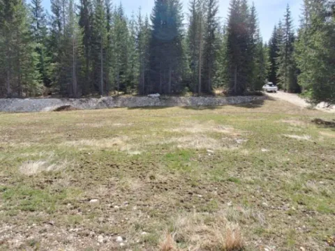 Prodaja, plac, 6750m², Podgora, Žabljak - image 2