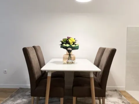 Izdavanje, jednosoban stan, 49m², Central Point, Podgorica - image 5