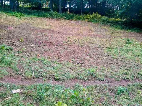 Sale, land lot, 15000m², Pljevlja, Crna Gora - image 6