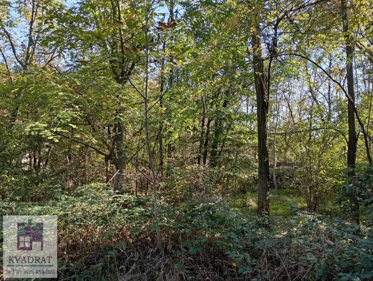 Prodaja, plac, 3800m², Obrenovac, Beograd
